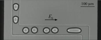 Electrocoalescence