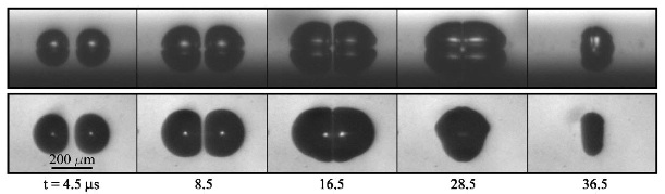 Cavitation bubble pair.